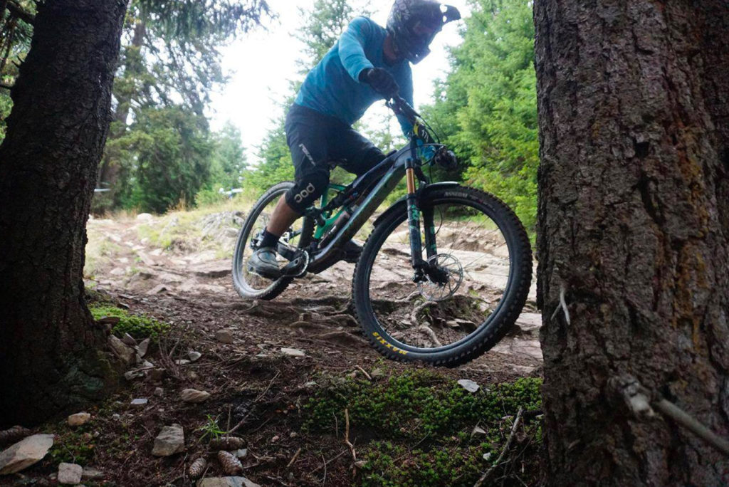 Ein Mountainbiker mit Helm und blauem Trikot fährt einen schroffen Waldweg entlang. Der Fahrer lehnt sich in eine Kurve zwischen zwei Bäumen, umgeben von Grün und felsigem Gelände.