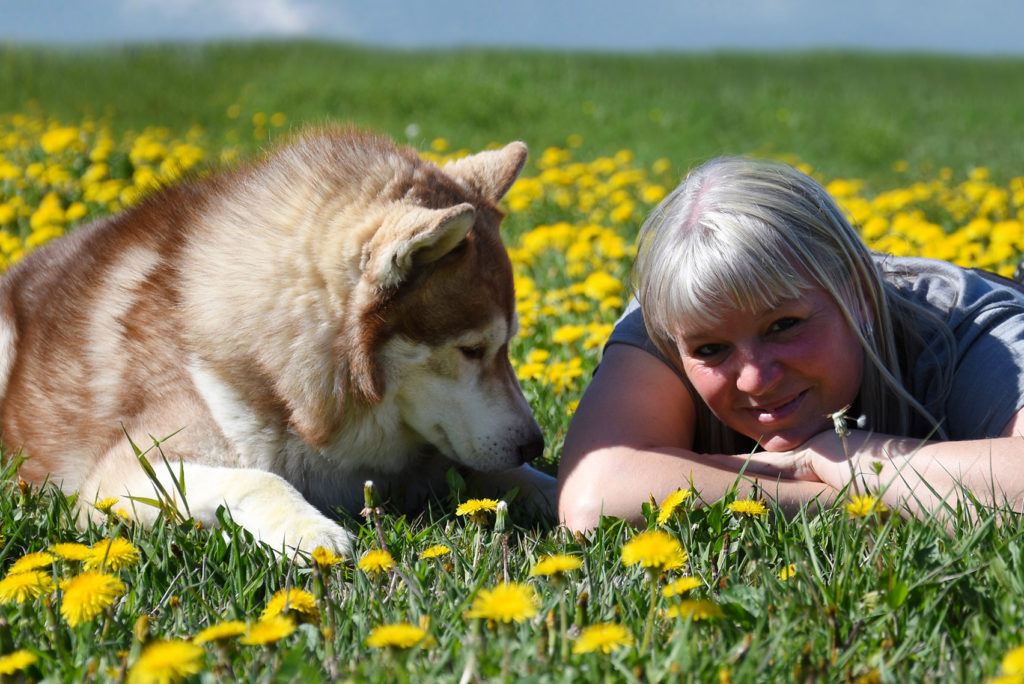 Eine Frau mit grauem Haar liegt in einem Feld mit gelben Blumen neben einem großen braun-weißen Husky. Der Hund blickt aufmerksam auf das Gras und im Hintergrund ist der Himmel klar.