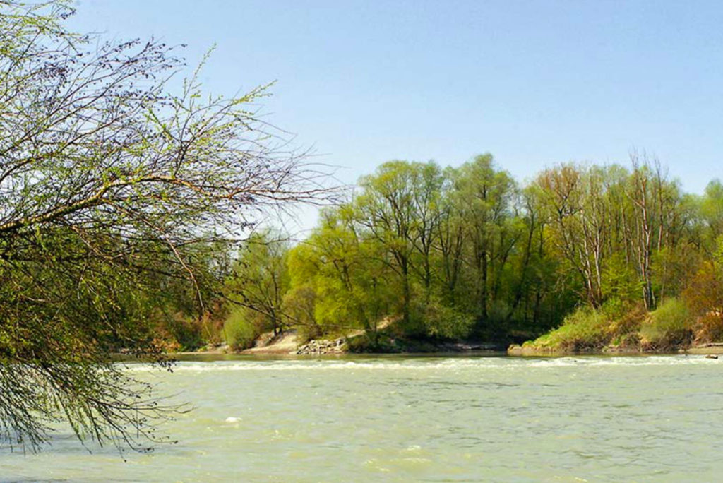 An einem klaren, sonnigen Tag fließt ein ruhiger Fluss an einem üppigen, grünen Wald vorbei. Laubbäume säumen das Flussufer und der Himmel ist strahlend blau. Die Äste im Vordergrund rahmen die Szene ein und verleihen der friedlichen Landschaft Tiefe.