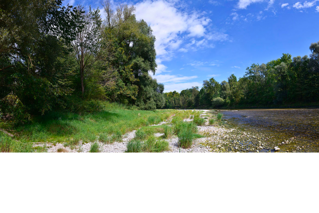 Eine malerische Aussicht auf ein ruhiges Flussufer mit klarem blauen Himmel und weißen Wolken. Üppige grüne Bäume säumen den Fluss und am Ufer sind Grasflächen und Felsen zu sehen. Der Fluss ist ruhig und auf der rechten Seite teilweise sichtbar.