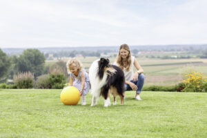 Eine Frau und ein junges Mädchen spielen mit einem Collie auf einer Wiese. Das Mädchen, das ein blaues Kleid trägt, greift nach einem gelben Ball. Die Frau, in Freizeitkleidung, kniet lächelnd neben ihnen. Im Hintergrund ist eine Landschaft aus Feldern und Himmel zu sehen.